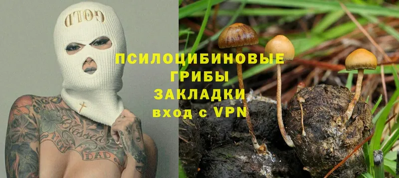 omg как зайти  Нижние Серги  Псилоцибиновые грибы Psilocybe 